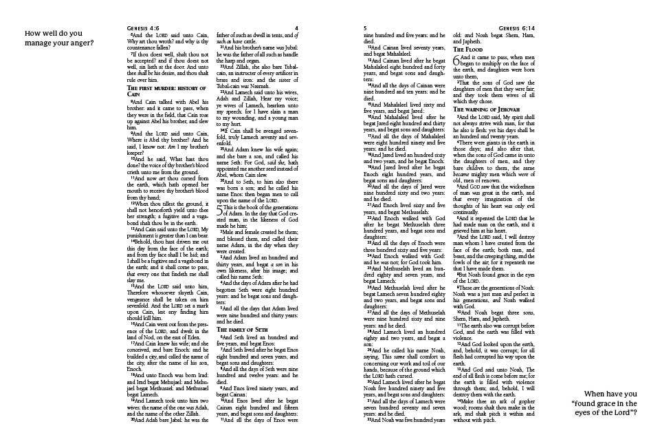 Personal Reflections KJV Bible with Prompts