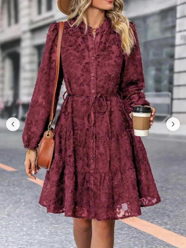 Scarlett Feathered Lace Button Down Tie Dress