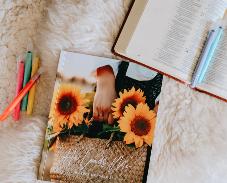He Leads Me Bible Study | Psalm 23