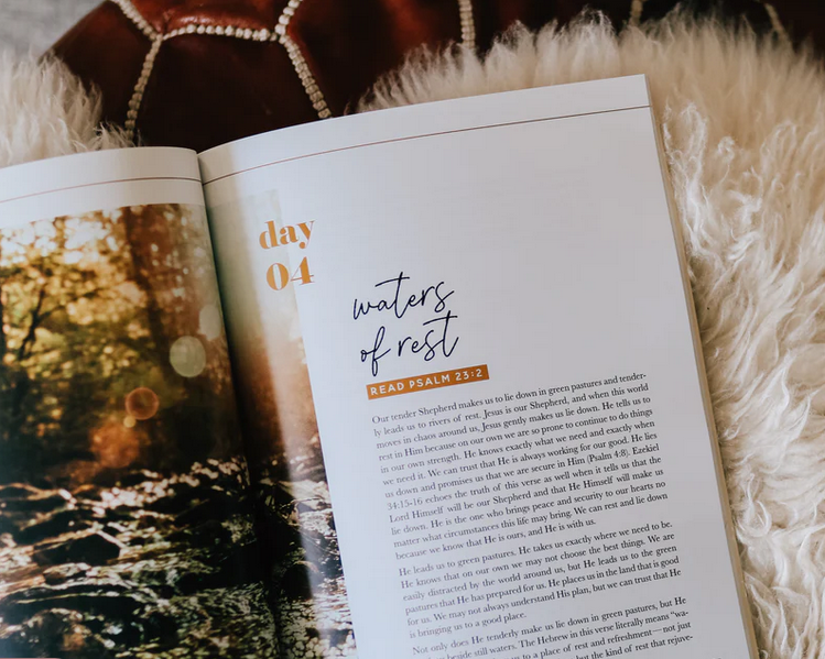He Leads Me Bible Study | Psalm 23
