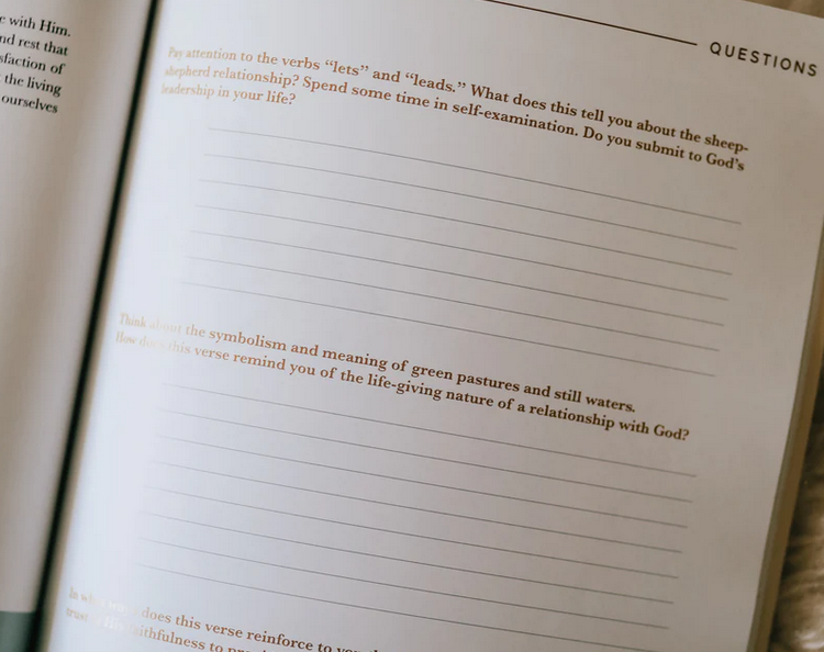 He Leads Me Bible Study | Psalm 23
