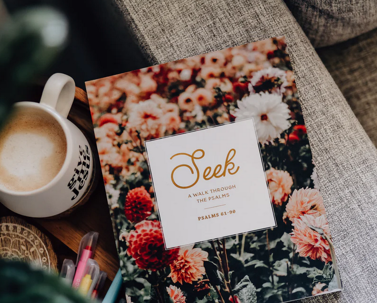 Seek | 6 Week Study | A Walk Through Psalms 61-90