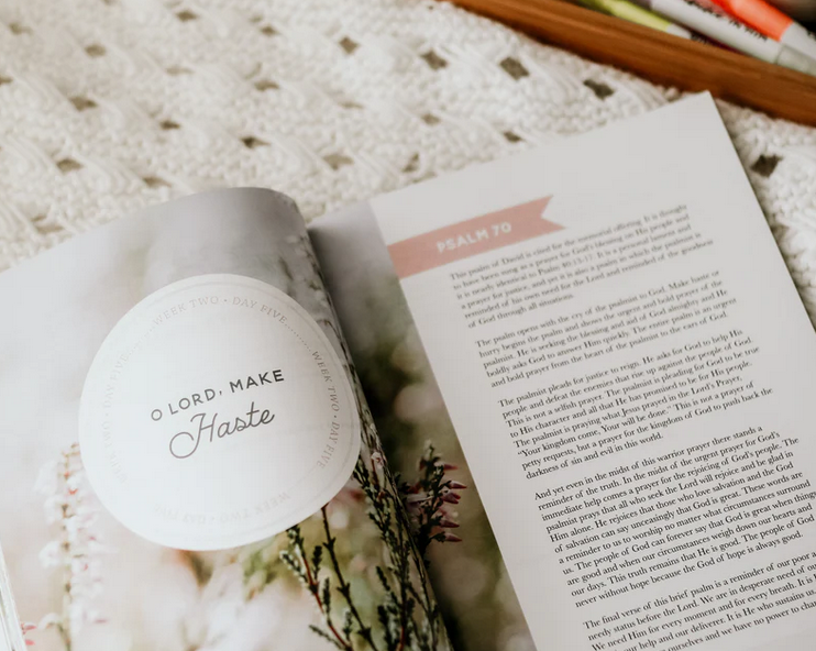 Seek | 6 Week Study | A Walk Through Psalms 61-90