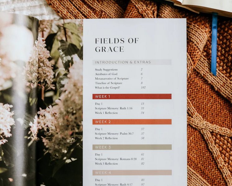 Ruth | Fields of Grace | 4 Week Study