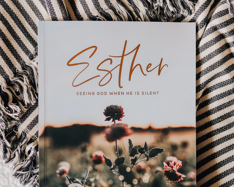 Esther | 3 Week Study | Seeing God when He is silent
