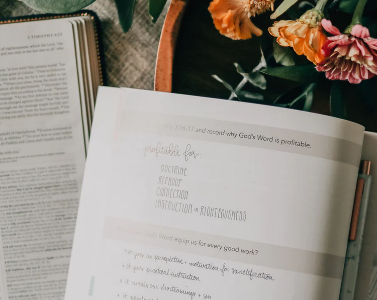 Amen | 5 Week Study | The Story of Scripture from Eden to Eternity