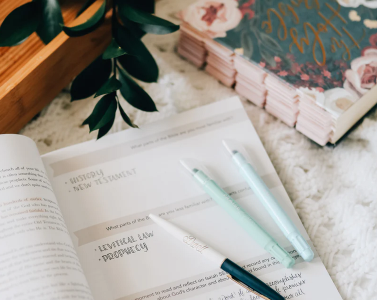 Amen | 5 Week Study | The Story of Scripture from Eden to Eternity