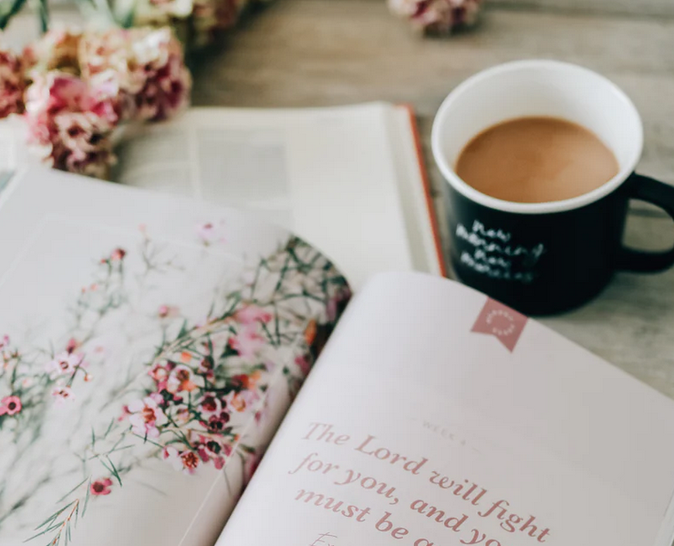 Faithful | 6 Week Study | The Covenant God from Eden to Eternity
