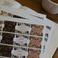 Magnolia Floral Bible Tabs | 76 Tabs