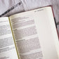 NIV Artisan Collection Bible LP Leathersoft Blush Floral