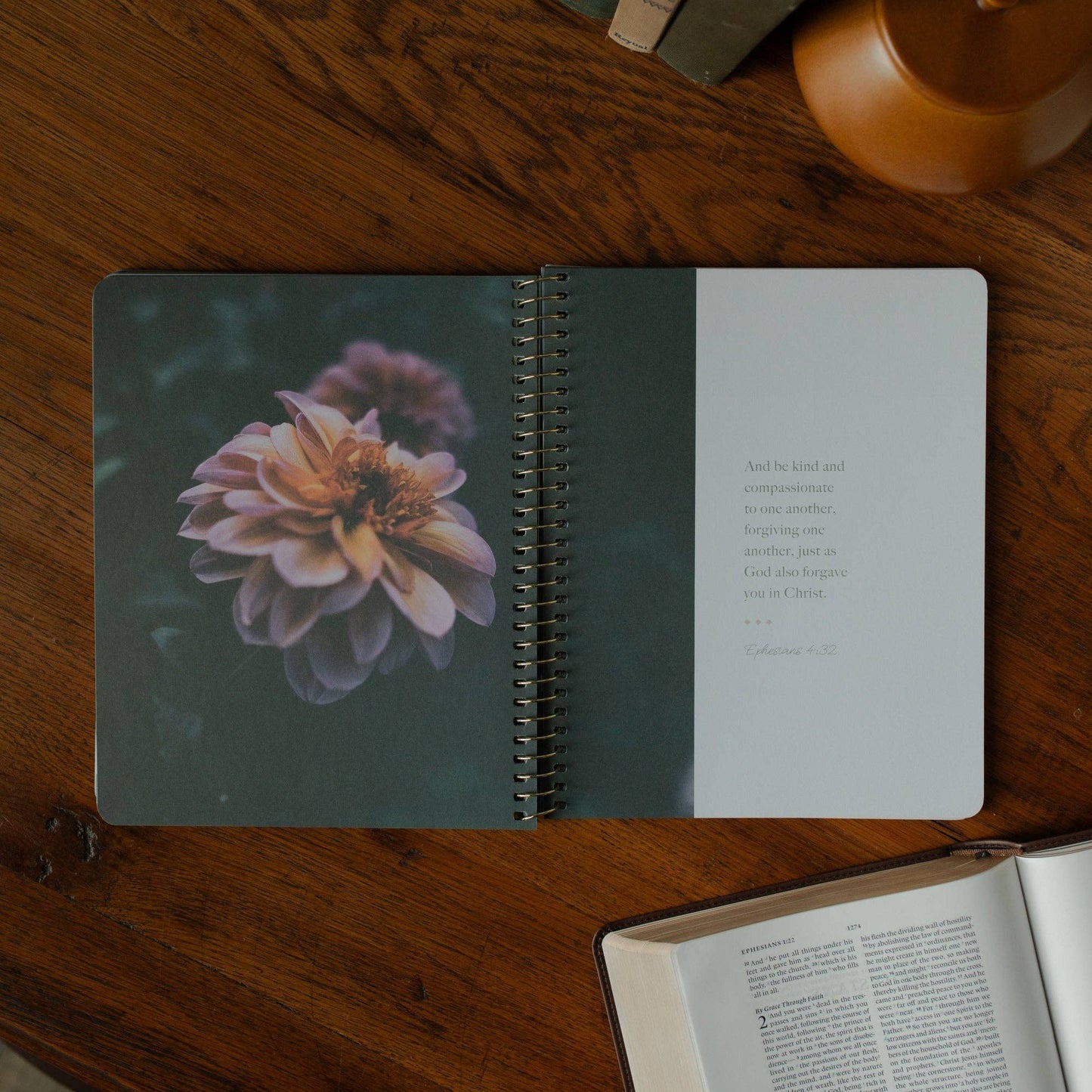 Chosen | Ephesians Study