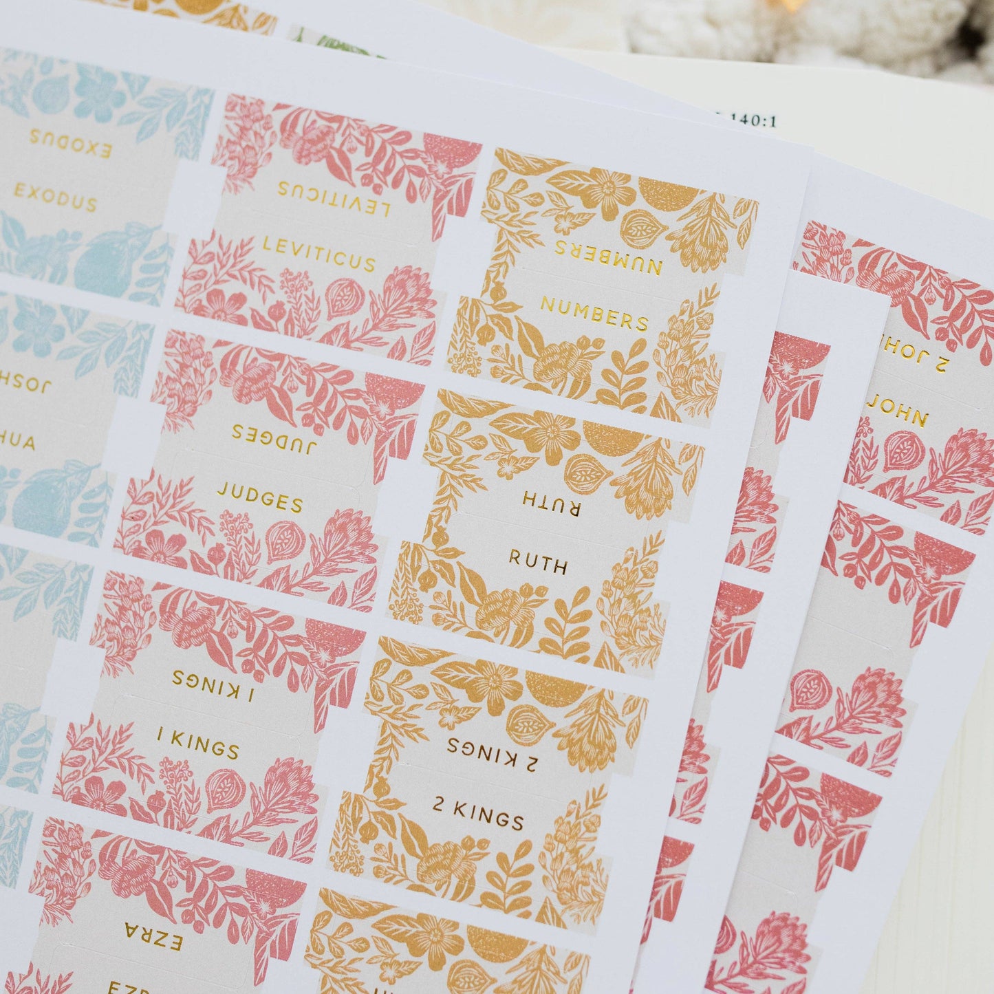 Daily Grace Bible Tabs