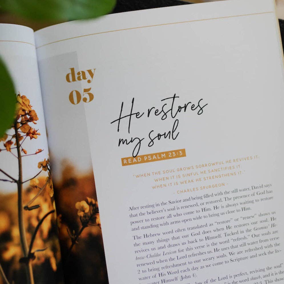 He Leads Me Bible Study | Psalm 23