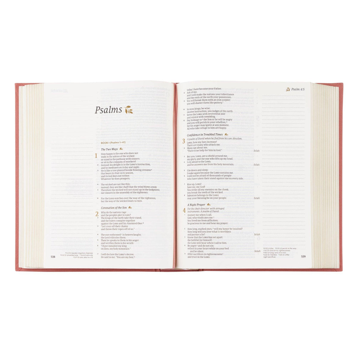 Hosannah Revival Linen Embroidered "Rosedal Theme" CSB Notetaking Bible