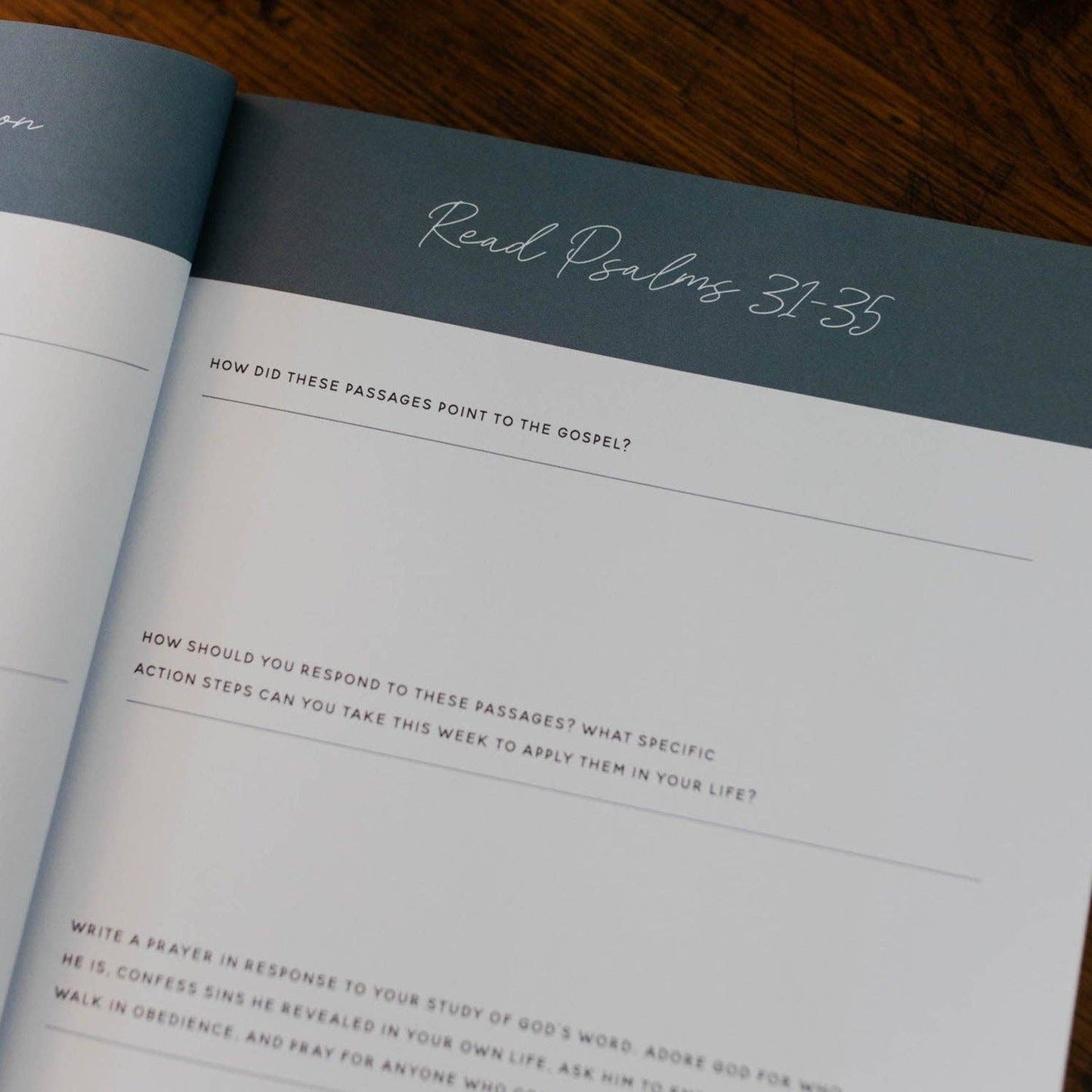 Wait | Psalms 31-60 Bible Study