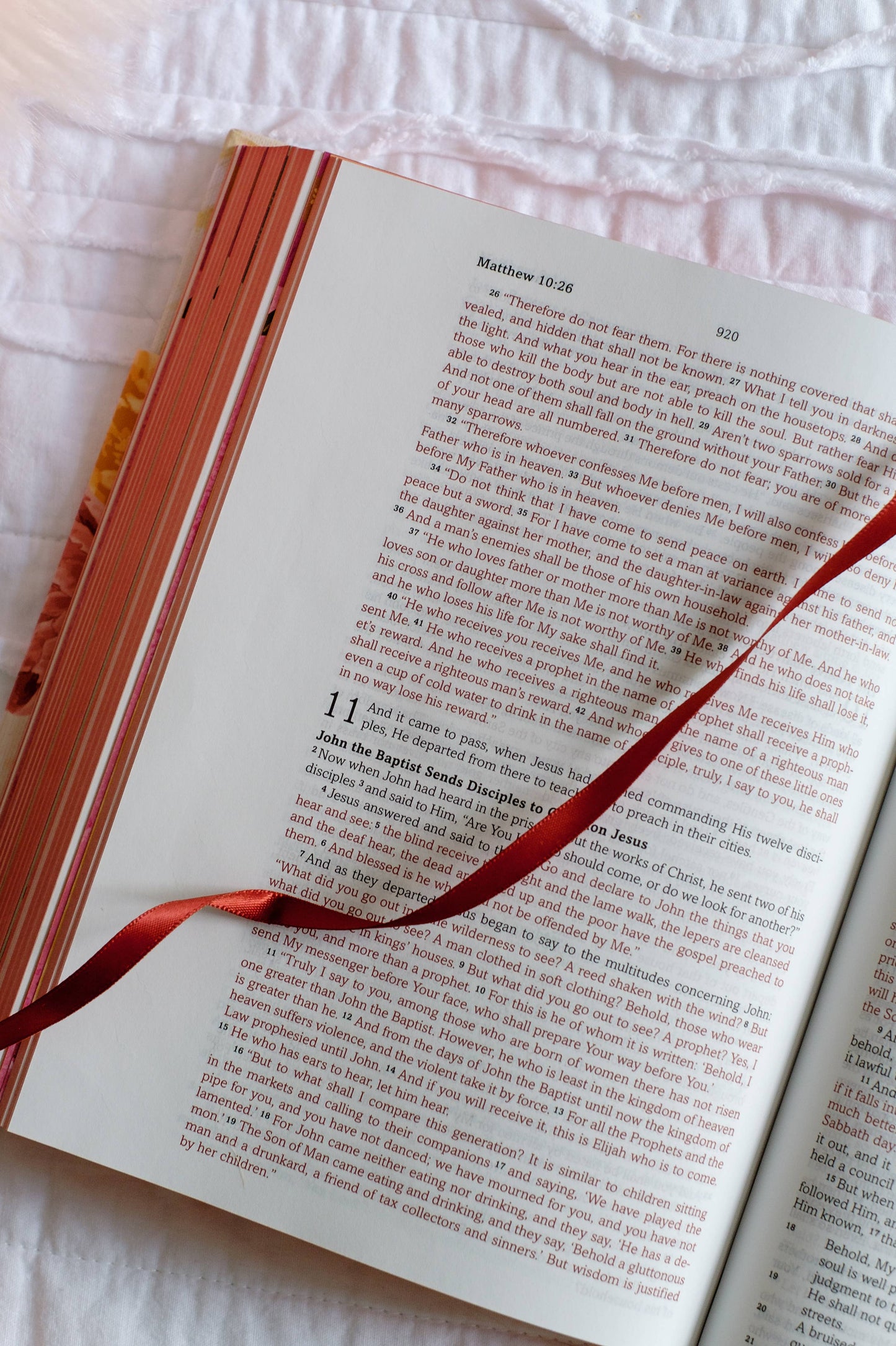 My Bible SKJV for Girls [Floral Giraffe]