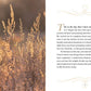 Jesus Calling: Harvest of Blessings : Padded Hardcover, with