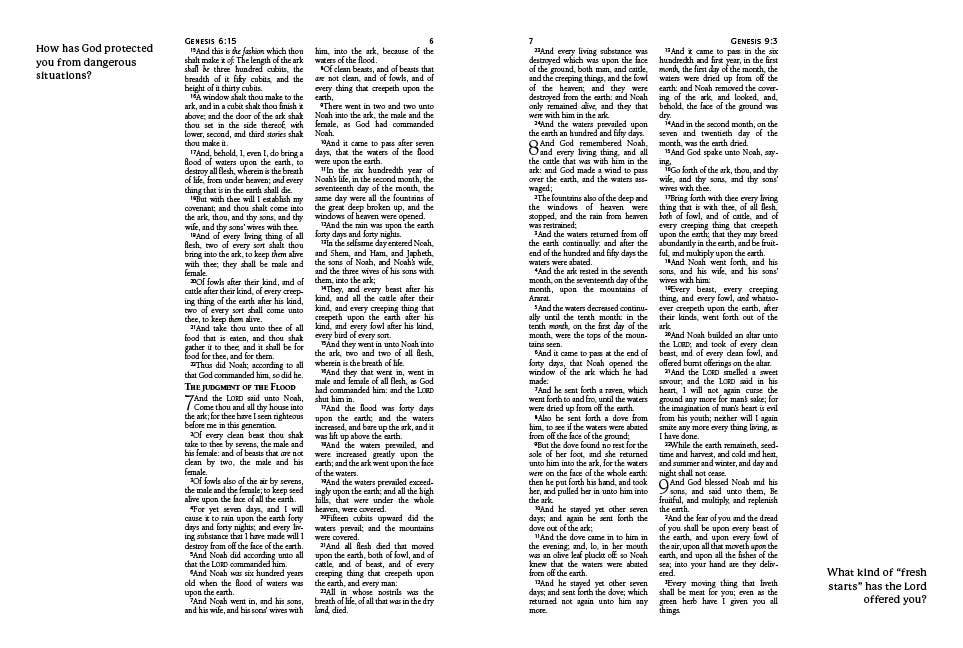 Personal Reflections KJV Bible with Prompts