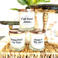 YALL NEED JESUS 8oz. Candle