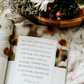 More Than Anything | 5 Week Study | Loving God Above Everything Else