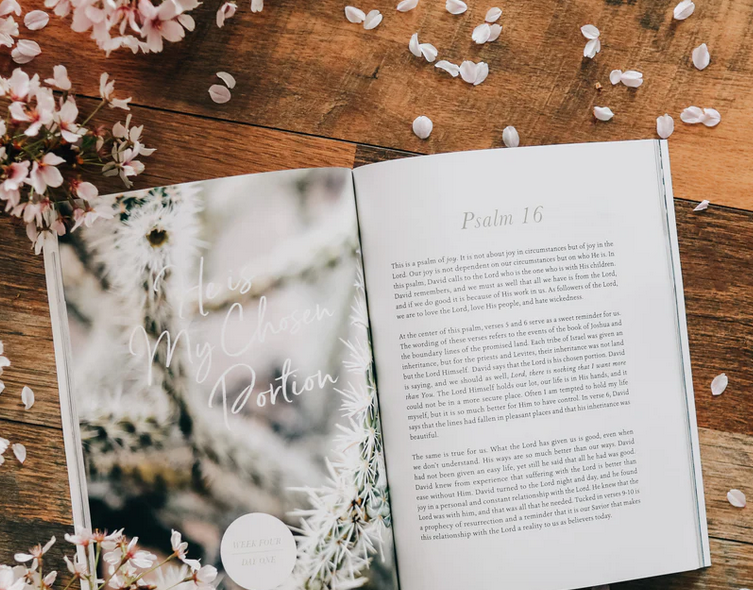 Delight: A Walk Through Psalms 1-30 is a six week study
