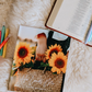 He Leads Me Bible Study | Psalm 23