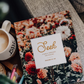 Seek | 6 Week Study | A Walk Through Psalms 61-90