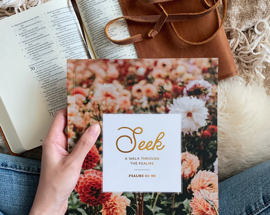 Seek | 6 Week Study | A Walk Through Psalms 61-90