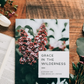 Grace in the Wilderness | A Study on the Book of 1 Peter