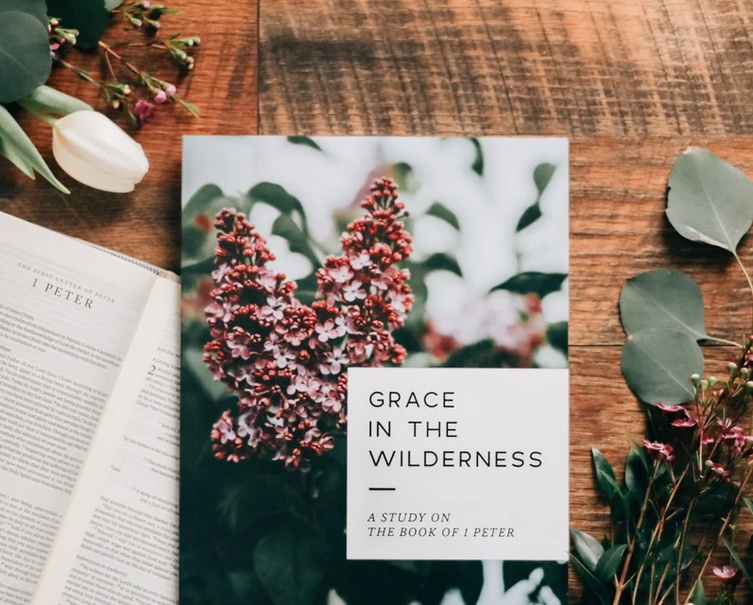 Grace in the Wilderness | A Study on the Book of 1 Peter