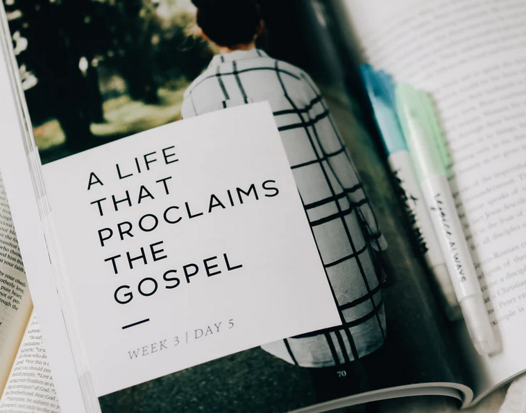 Grace in the Wilderness | A Study on the Book of 1 Peter