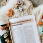 Preaching the Gospel to Yourself | 4 Week Study