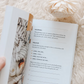 Fix Your Focus - A 52-Week Guide to Help You Put God First