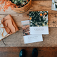 Genesis Volume 1: Foundations of Grace 5-week His & Hers Bible Study Bundle