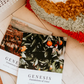 Genesis Volume 1: Foundations of Grace 5-week His & Hers Bible Study Bundle