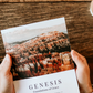 Genesis Volume 1: Foundations of Grace 5-week His & Hers Bible Study Bundle
